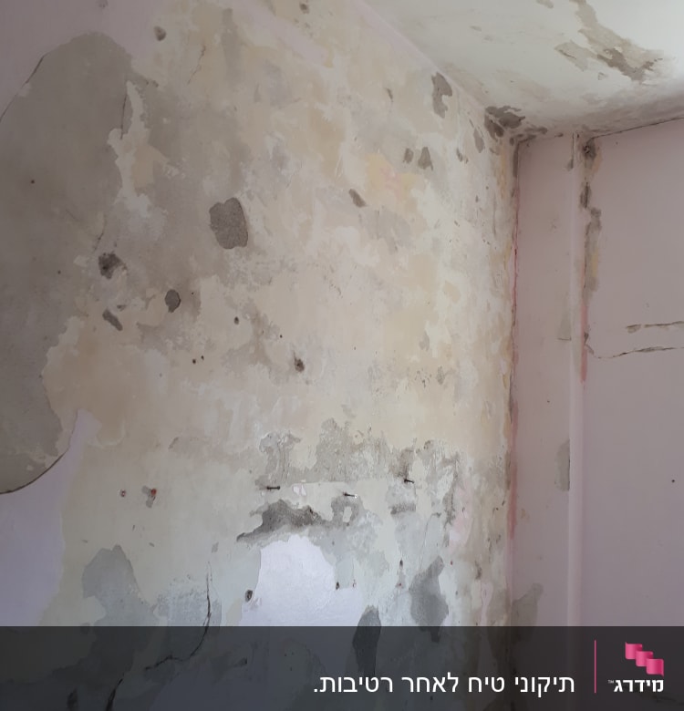 קיר מתקלף עם סימני רטיבות והכנה לצביעה